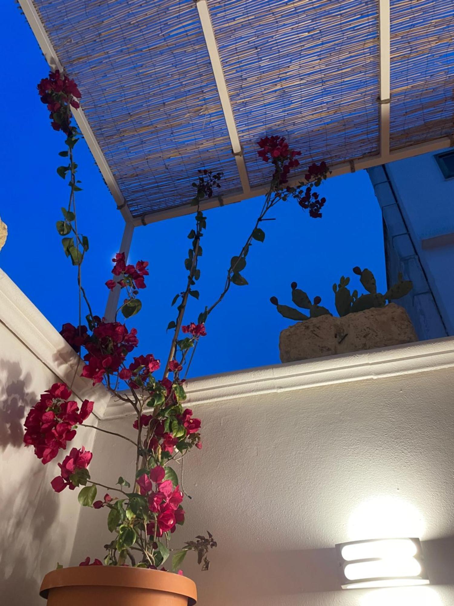 Casa Mia Vila Mola di Bari Exterior foto